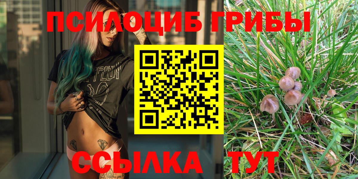 Галлюциногенные грибы Magic Shrooms  Вход с VPN  Кингисепп  Псилоцибиновые грибы мицелий 
